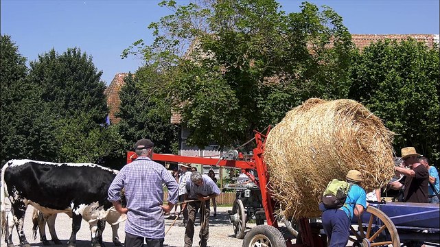 La meule de foin , aux rencontres de bouviers Ungersheim (68) Mai 2017 un film de Patricia et Didier Ladry