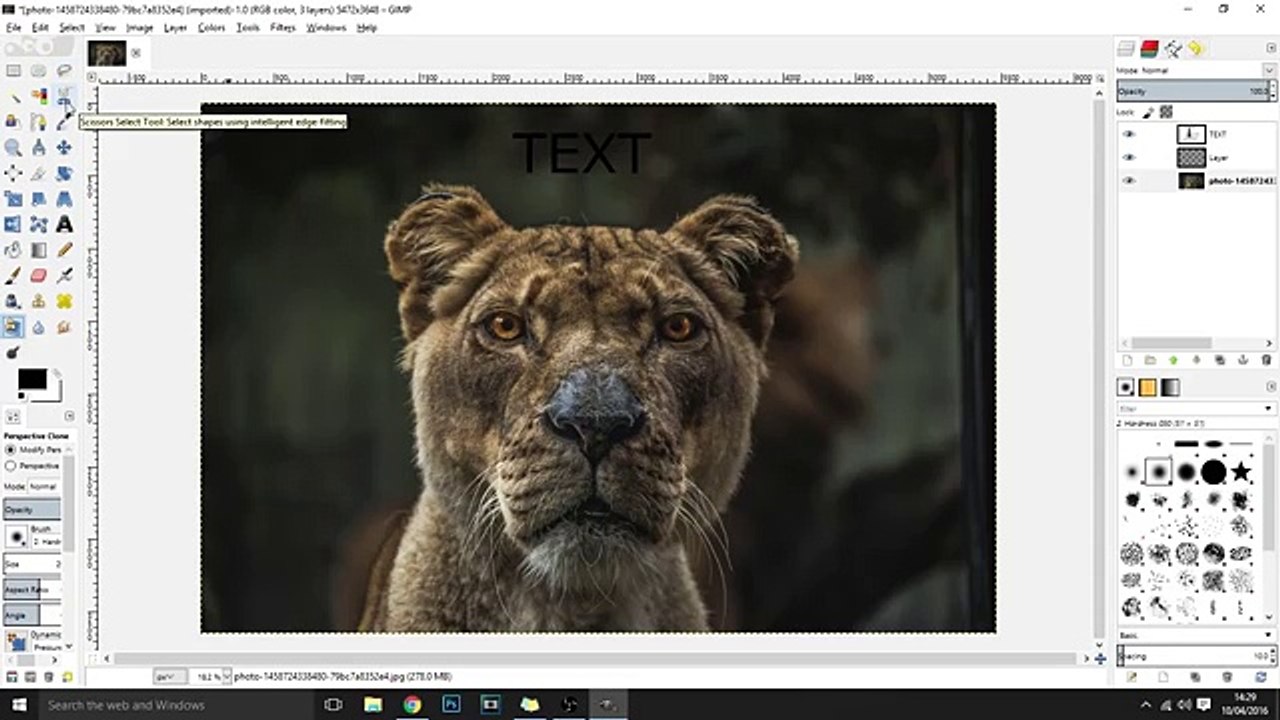 videoplayback