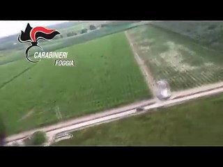 Scene da film in Puglia: elicottero insegue criminale, arrestato