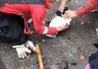 Argentinian Rescue Crew Pull Dog and Puppies From Muddy Drain