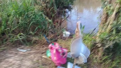 in this fishery came out a strange fish kkkkkkkkkk