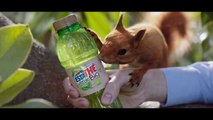 Pubblicità Estathé Verde Bio (scoiattoli) spot 2018