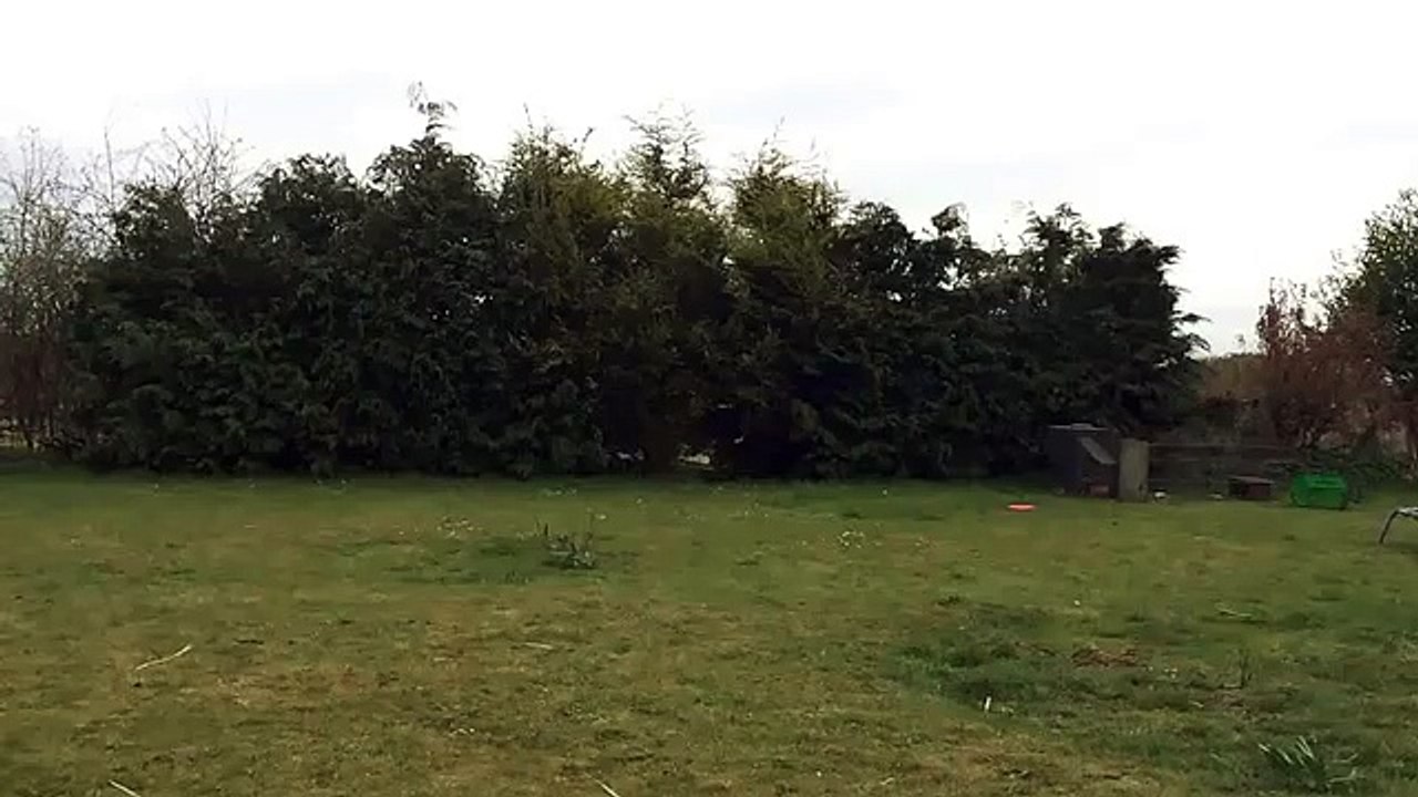 Flying nut high five