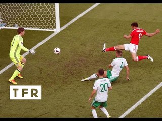 WALES 1-0 NORTHERN IRELAND FAN REACTION - Euro 2016 Round of 16