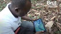 GeoPoppy : une application pour enrayer la déforestation