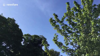 Lancaster bomber stuns onlookers on Dambuster's 75th anniversary