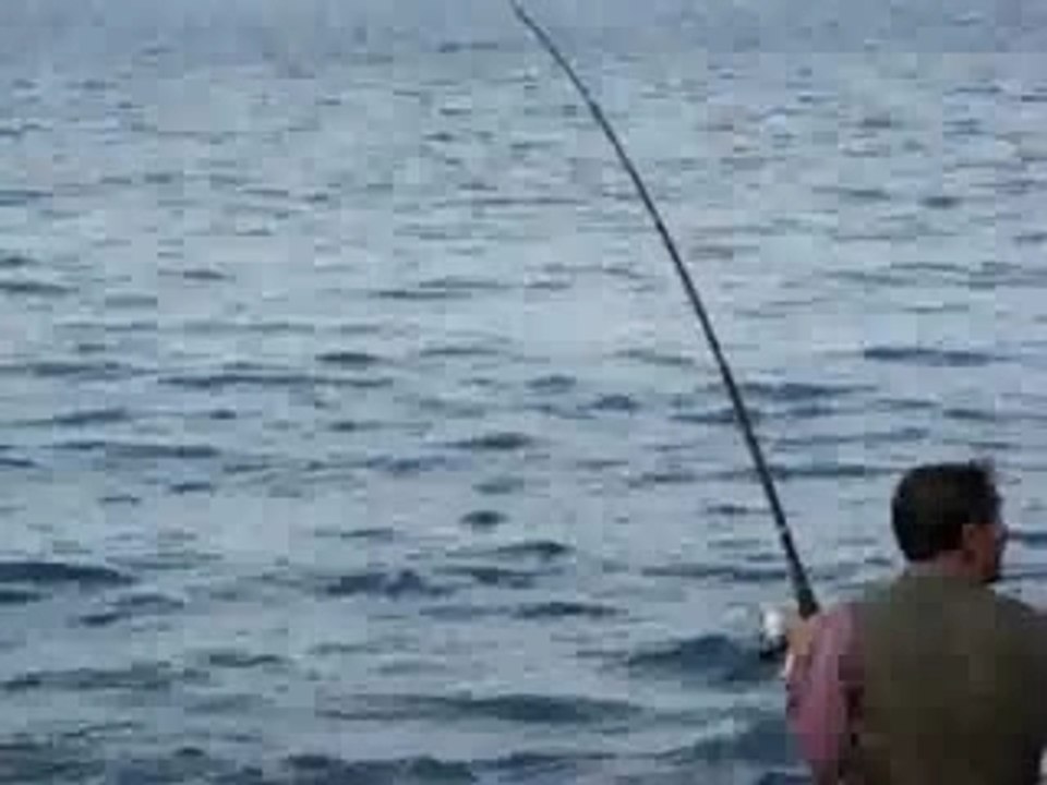 Balık avı.avi
