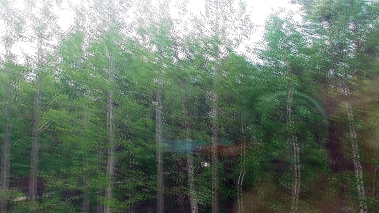 May 17 2018 DL4