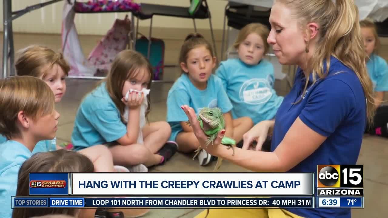 Summer camp special: Animal Sciences Unleashed Camp for half off!