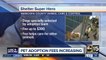 Maricopa County Animal Care and Control raising fees to pay for animal care