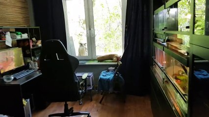 Quand ta lettre d'admission à Poudlard est enfin arrivée !