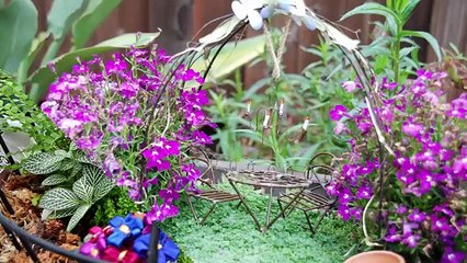 Decorative mini garden in a pot - Ideas for home - 2020