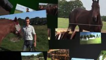 Apprendre à tondre son cheval ou son poney !