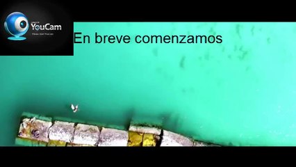MIX REGGAETON - MUSICA NUEVA