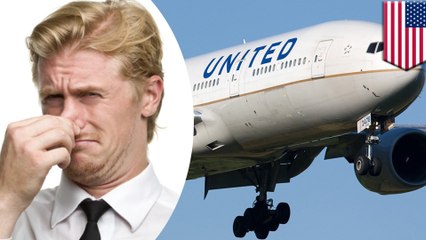ユナイテッド航空が体臭を理由にナイジェリア人女性の搭乗を拒否 - トモニュース