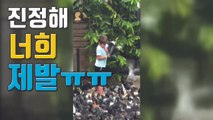 [자막뉴스] '비둘기 모이 주기' 이렇게 무서운 일이라니 / YTN