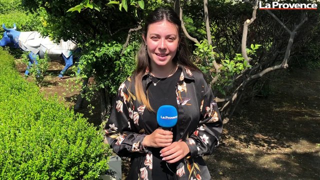 Anaïs et Pédro s'installent au Sport beach, les fiestas du Petit Pavillon... On bouge où ce week-end ?