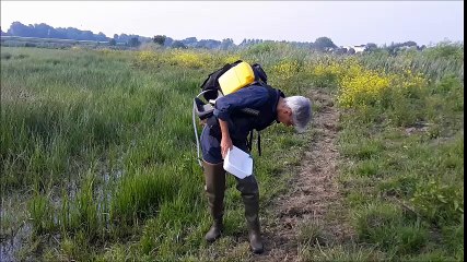 Campagne de démoustication en Charente-Maritime