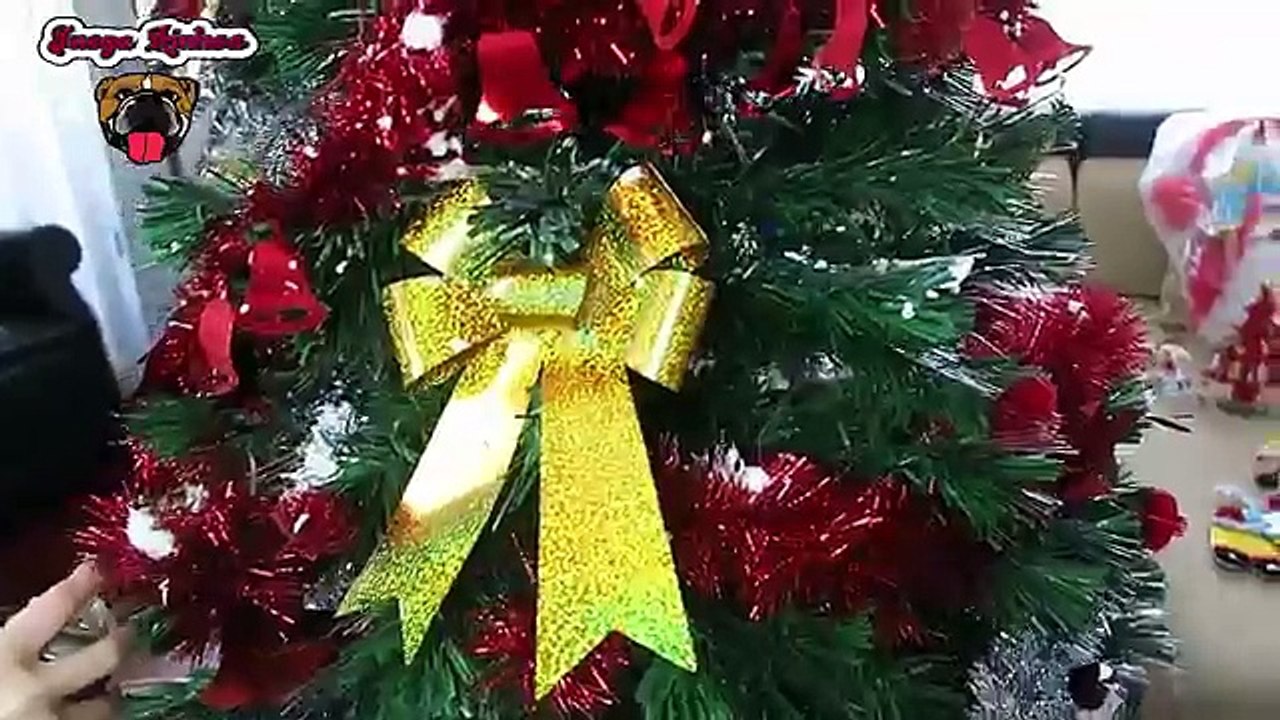 ESPECIAL NAVIDAD.MONTANDO EL ARBOL DE NAVIDAD.