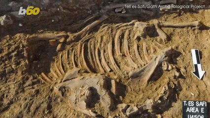 The Earliest Evidence of A Bridle Bit Has Been Uncovered In The Near East