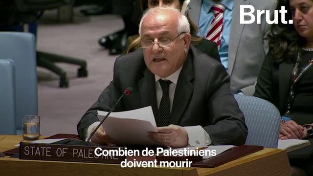 Gaza : voilà à quoi ressemblait le Conseil de Sécurité de l'ONU