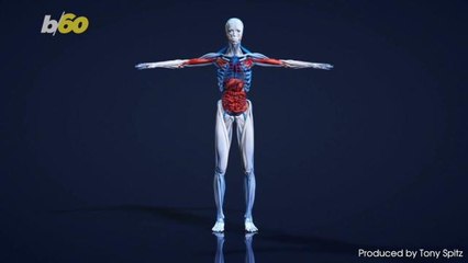Chronic Pain Sufferers Could be Ignoring Their Best Option for Relief