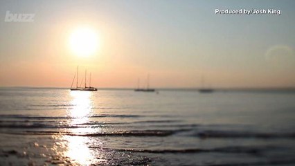 This Is Why You Should NEVER Stand Under A Tree During A Thunderstorm