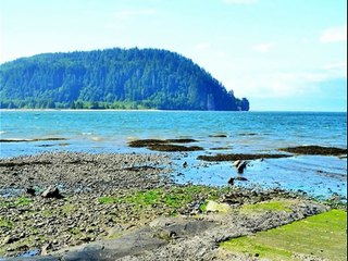 Có những niềm riêng - Thanh Lan