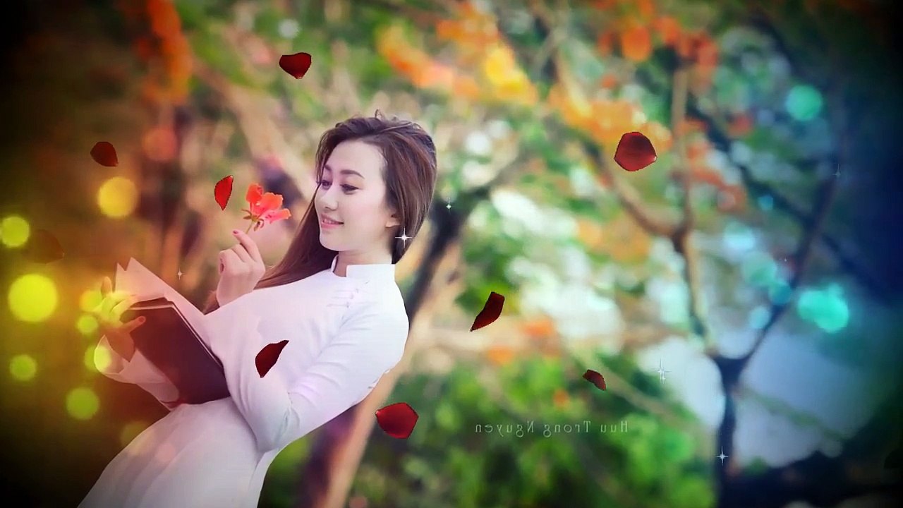 Nỗi Buồn Hoa Phượng, Lưu Bút Ngày Xanh - Hương Lan, Như Quỳnh, Hoàng Oanh