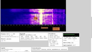 WebSDR - приём сигналов на КВ через Интернет, не имея приёмника