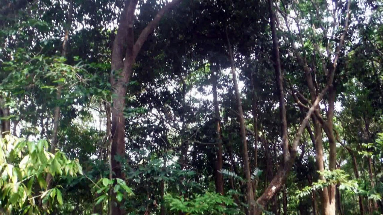 Sur la route de Chantaburi