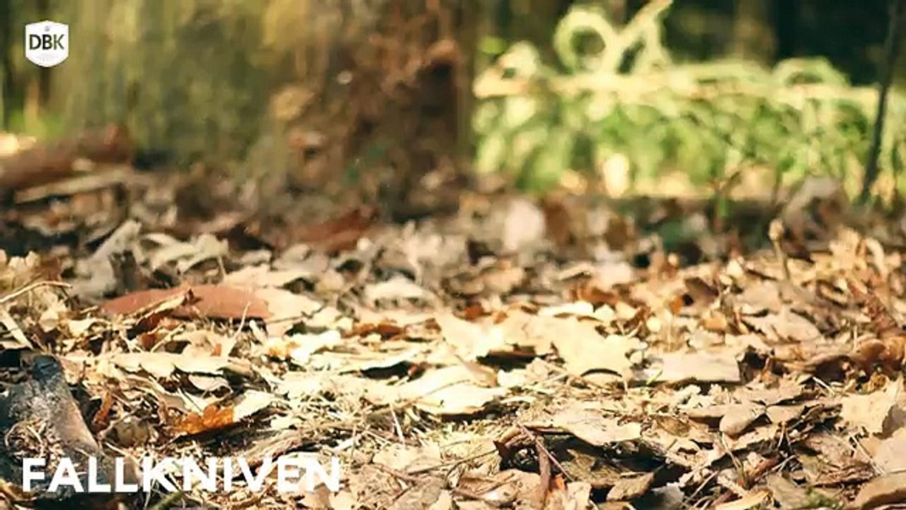 The Best Knife Brand? Bark River VS Fallkniven