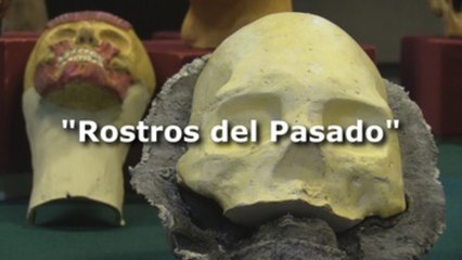 Bolivia exhibe por primera vez rostros reconstruidos de los pobladores de Tiahuanaco