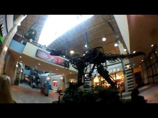 Daily Vlog: Shopping