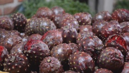 La pitaya, el exótico tesoro escarlata que nace en campos de Jalisco