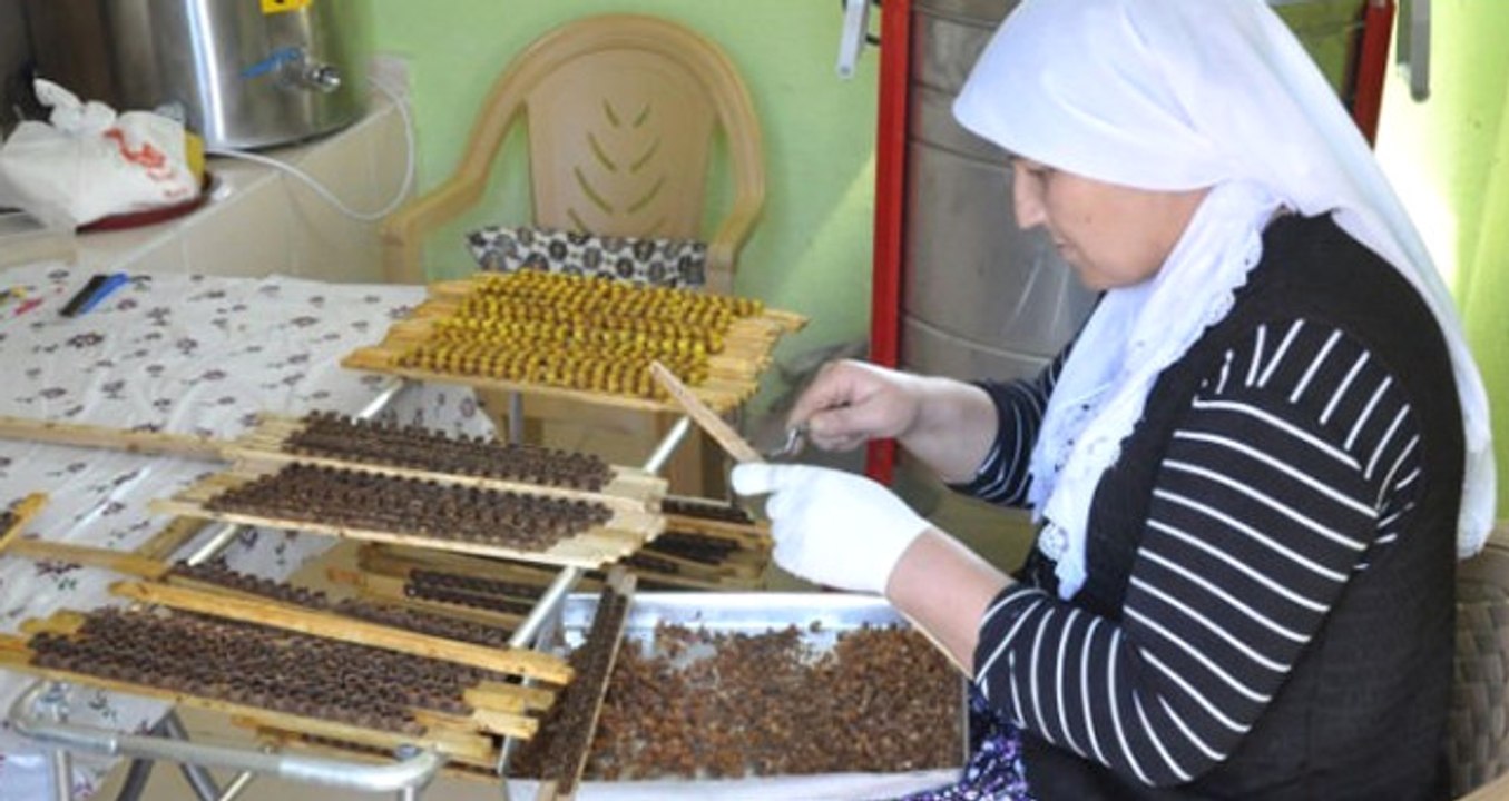 2 Çocuk Annesi Kadın Girişimci, "Arı Sütü" Siparişlerine Yetişemiyor