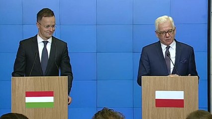 Lengyel-magyar külügyi csúcs