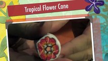 Tropical Flower Cane | Polymer Clay Tutorial | Millefiori Cane | Murrina Fiore Tropicale