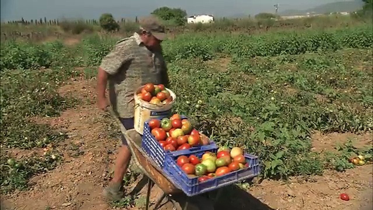 Discovering the Center of Ibiza (Balearic Islands)