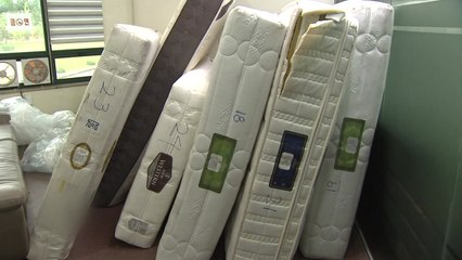 소비자원 "대진침대 문의 폭주...집단분쟁조정 검토" / YTN