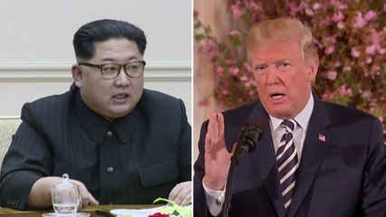 트럼프 "리비아 모델 적용 안해...김정은에 안전보장" / YTN