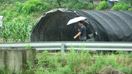 [날씨] 낮에 비 대부분 그쳐...영동·영남 밤까지 비 / YTN