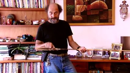 Don Quixote of the jungle (part 4)