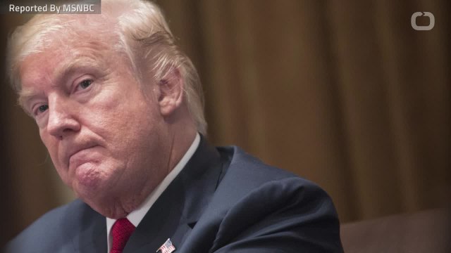 Trump's 'Animals' Comment Only In Reference To Members Of Ultra-Violent MS-13 Gang