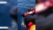 Coast Guard Rescues Sea Turtle Entangled In Fishing Gear