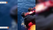 Coast Guard Rescues Sea Turtle Entangled In Fishing Gear