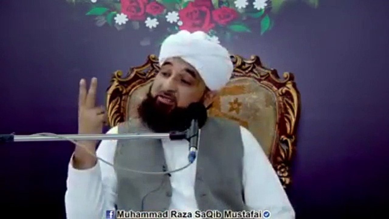 Muhammad Raza Saqib Mustafai (407)