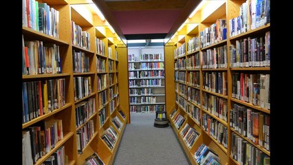 Télécharger Psychologie des grands traders Plein Livres