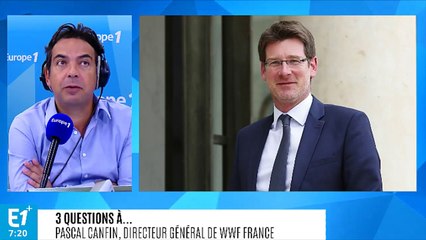 "La biodiversité est en train de disparaître en France"