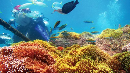 A Trip to Thailand - Top 25 Places to Visit in Thailand [Part 2] - A Tour Through Images - THAILAND